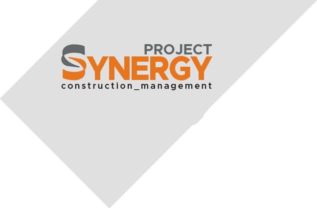 Project Synergy